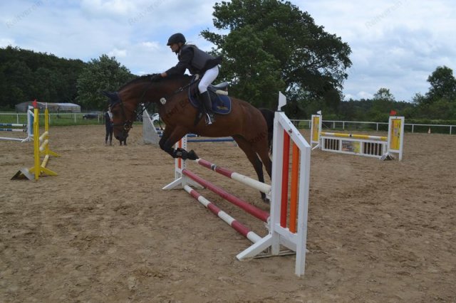 reitertag 2013 60